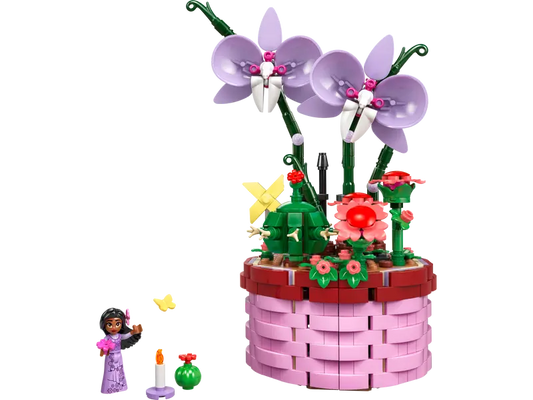 Vaso di fiori di Isabela